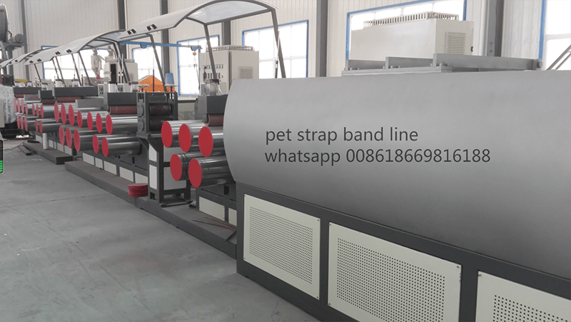 Pet strap band line1